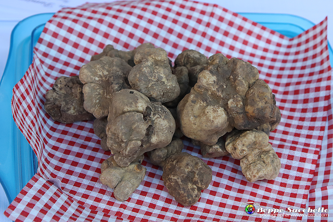 VBS_5611 - 10.ma Fiera Nazionale del Tartufo e Fiera dei Santi.jpg